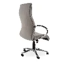 Salvador-Chrome-HB-Back.webp